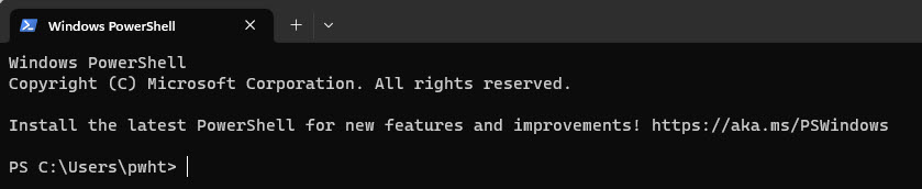 Windows Powershell window