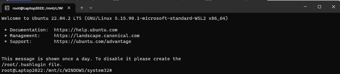 WSL command line